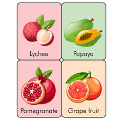 Fruits flashcard vector art for kids page 04
