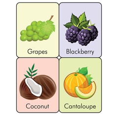 Fruits flashcard vector art for kids page 05