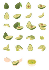 Complete Avocado Fruit Illustration Set