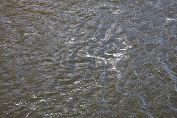 Waves on the Surface of the Vistula River