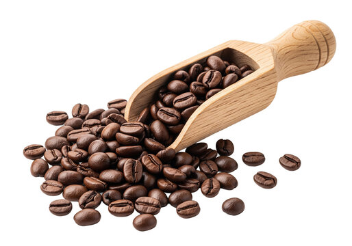 coffee beans in a wooden scoop