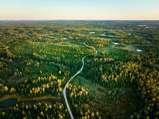 aerial view of the woodland
