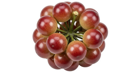 Isolated Eugenia Brasiliensis