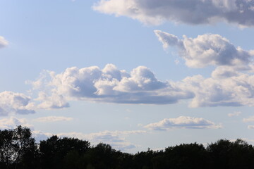 Cloudy Sky with Silhouetted Trees at Horizon