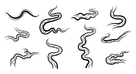 Collection of various black wavy lines and curves on white background