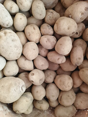 A Close-Up Look at Raw, Unprocessed Potatoes Ready for the Kitchen