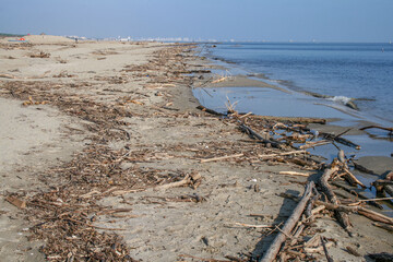 Dirty beach with driftwood and garbage after a storm on the seashore.