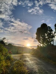 Obraz premium Golden morning sunrise casting long shadows over a tranquil, misty rural road under a beautiful sky
