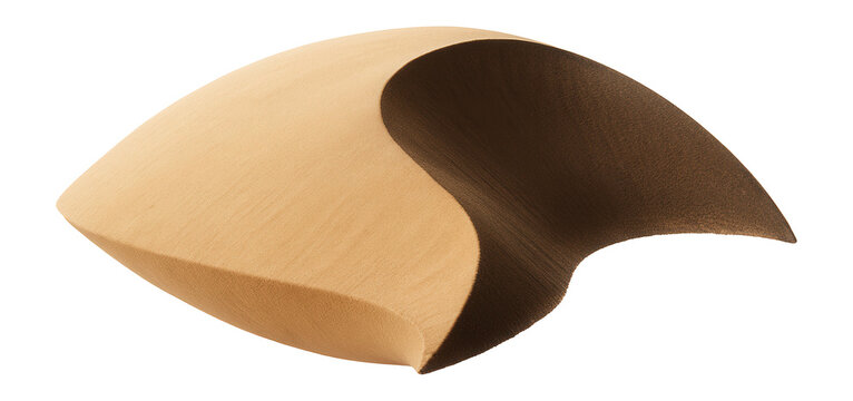 Crescent-shaped barchan dune with smooth, windward slope and steep slip face