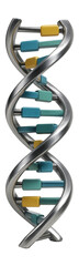Naklejka premium DNA helix model with highlighted phosphate groups in bright yellow