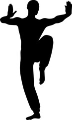 Fototapeta premium Kung fu fighter strikes a pose