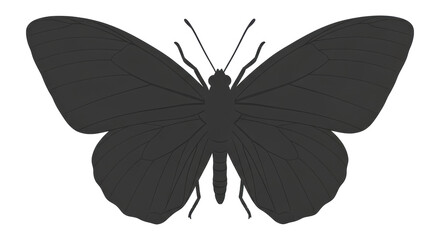 Isolated Silhouette of a Butterfly