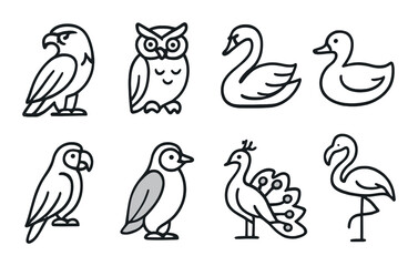 Fototapeta premium Outline illustrations of various birds on a dark background