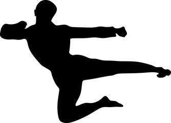 Martial artist performs a flying kick