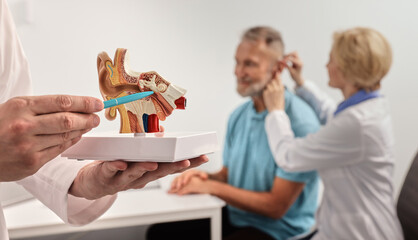 Anatomical model of human ear and eardrum in doctor hands. Hearing treatment and diagnosis for male patient with audiologist at hearing clinic over background, soft focus