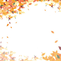 frame made of autumn leaves