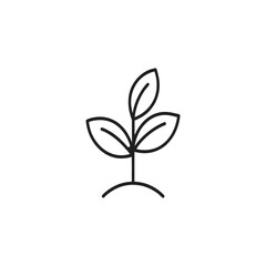 Young outline vector plant with three leaves, flat vector illustration, isolated on white background