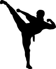 Martial arts practitioners high kick silhouette