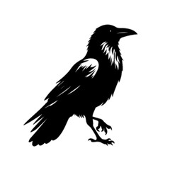 Crow 15 Vector Illustration | Dark Black Bird Silhouette Artwork