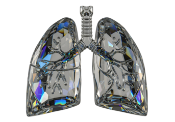 A three-dimensional model of lungs formed from facets of transparent crystal, showcasing intricate respiratory system details against a dark background.
