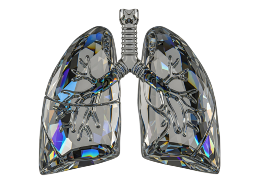 A three-dimensional model of lungs formed from facets of transparent crystal, showcasing intricate respiratory system details against a dark background.