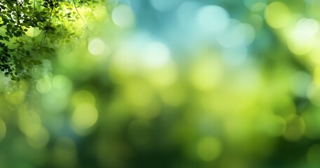 Obraz premium Blurred green nature background with bokeh effect for spring or summer concept. 