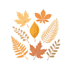 Fototapeta premium A collection of autumn leaves in warm, earthy tones. A vector illustration for a fall season background, Thanksgiving card, or nature design concept. Generative AI
