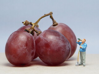 Mini toy of action figure with blurred background. Miniature photography concept design. Minifigure of farmer character with purple grape at truck.