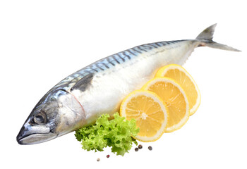 Fresh fish mackerel with lemon isolated