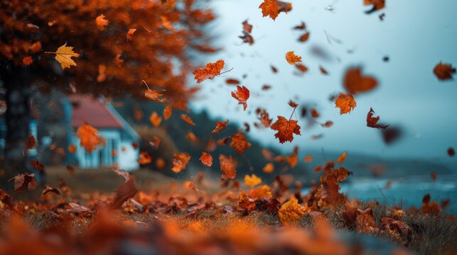 Autumn leaves swirling in the wind near a house