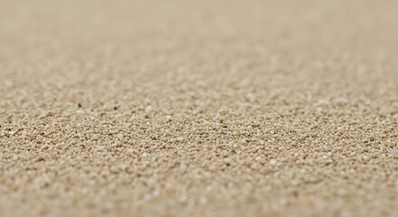 Textural Close-up of Fine, Warm Desert Sand Grains