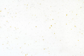 和紙（大礼紙金銀箔入り）　白色 1