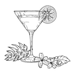 Martini glass on a thin stem, with a slice of lime, black and white ink sketch. Vector illustration. Classic cocktail glass for martini, tropical flower and monstera leaf, isolated on white background