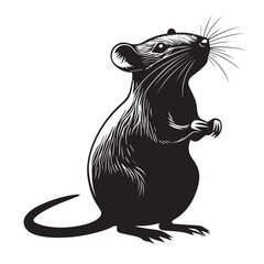 vector image of a mouse