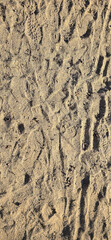 Fine sand texture – high-resolution natural grain surface for backgrounds