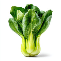 Fresh green bok choy vegetable with water drops isolated on white