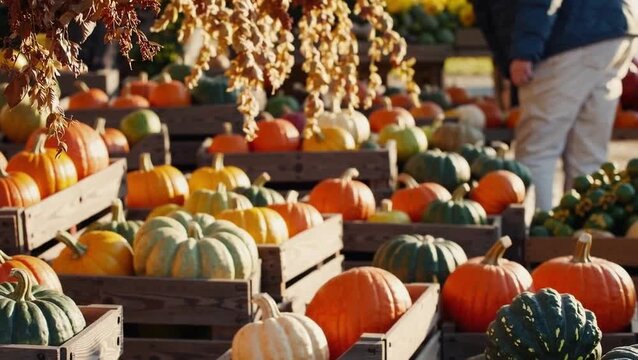 Colorful pumpkins in wooden crates at a farmers market in autumn, seasonal harvest display.