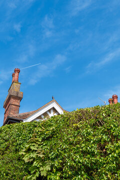 View of an ivy-covered building with red brick chimneys reaching towards the clear blue sky, a single contrail slicing through the azure, Guildford, England, United Kingdom.