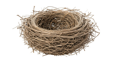 Obraz premium Isolated Empty Bird Nest