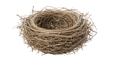 Isolated Empty Bird Nest