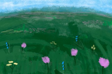 Spring bloom meadow with colorful wildflowers and green grass