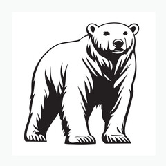 Fototapeta premium bear vector illustration