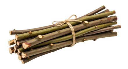 Isolated Bundle of Sticks