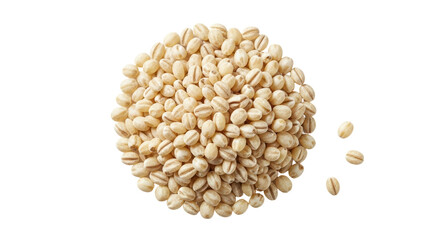 Isolated Pearl Barley