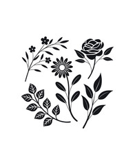 Botanical Black and White Floral Elements Set, Vector Design on Isolated White Background