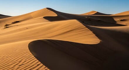 Shifting sands of the desert