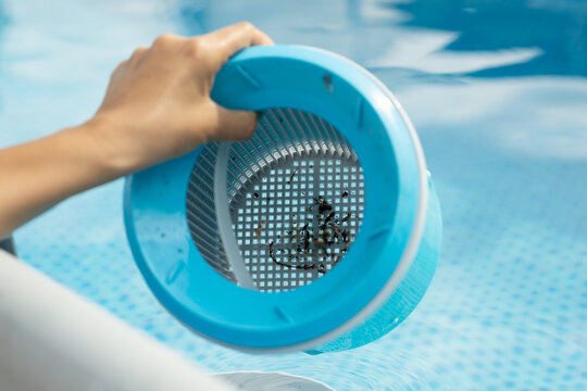Woman cleaning pool skimmer basket with leaves floating in swimming pool