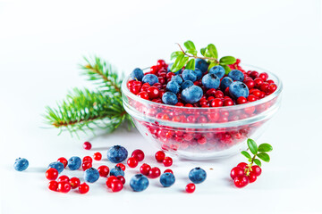 Ripe shiny lingonberries and blueberries and spruce branch  on white background.