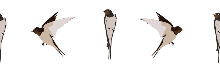 Border icon border. Bird feather silhouette symbol. Bird border isolated on white background	
