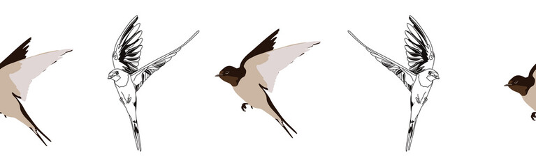 Border icon border. Bird feather silhouette symbol. Bird border isolated on white background	
